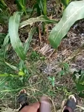 loki-king-143 online show from March 9, 9:46 am