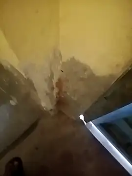 ahannaskar228 online show from December 22, 9:17 am