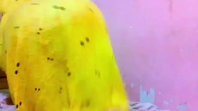 Snapshot of kondi_Bula4 chatting on December 19, 11:39 am kondi Bula4 online show from December 19, 11:39 am