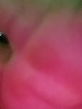 swartilodhi123 online show from February 9, 4:00 pm