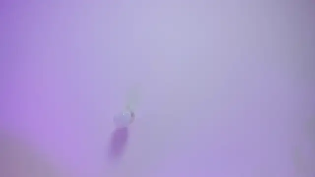 Morgan Lux online show from February 4, 12:11 pm