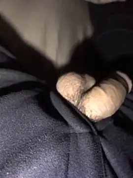 Snapshot of lion_kun chatting on December 15, 9:13 am lion kun online show from December 15, 9:13 am