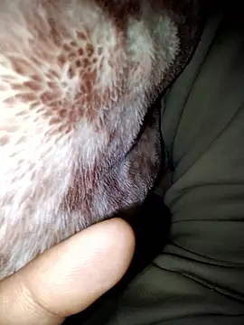 aman4404 online show from January 13, 6:08 am