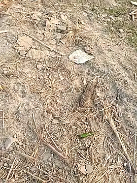 Snapshot of sexloverg7 chatting on December 15, 10:41 am sexloverg7 online show from December 15, 10:41 am