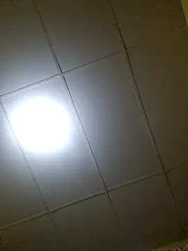 thebruvisacoolsoul online show from December 20, 1:56 am