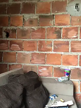 Geelalmeida online show from April 2, 10:46 am