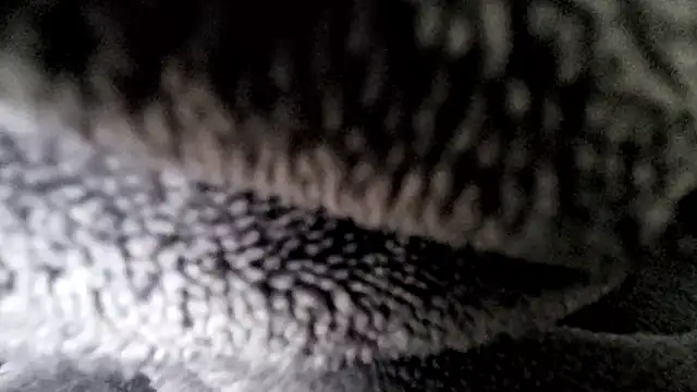 Snapshot of Saarboy90 chatting on December 16, 12:54 pm Saarboy90 online show from December 16, 12:54 pm