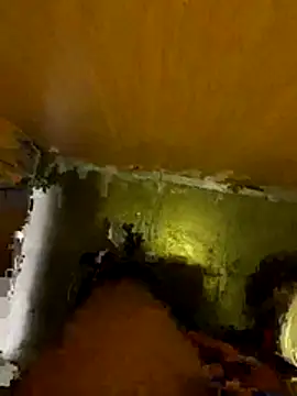 Snapshot of Thilandex chatting on December 19, 1:56 am Thilandex online show from December 19, 1:56 am