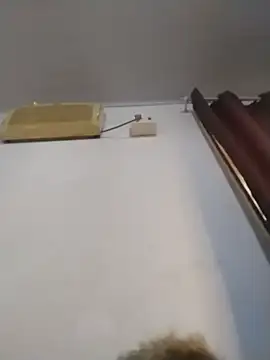 darkbombolete online show from December 20, 5:20 pm