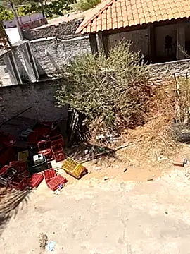  - - bucetuda     online show from December 18, 3:40 pm