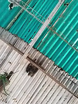 kathe 2910 online show from February 10, 3:38 pm