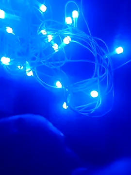 bongtools online show from December 20, 6:26 pm