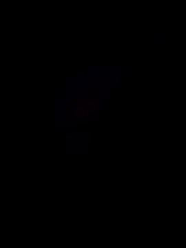 negaoebranquinha online show from February 11, 4:06 am