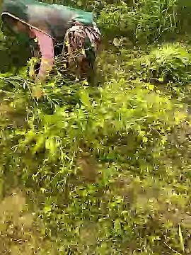 hornycouple20000 online show from January 8, 5:43 am