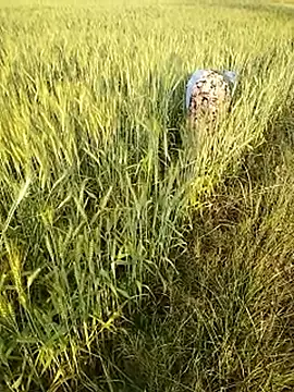 hornycouple20000 online show from February 21, 11:55 am