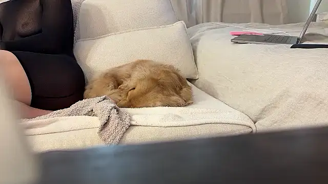 Ambrrr online show from April 11, 8:02 pm