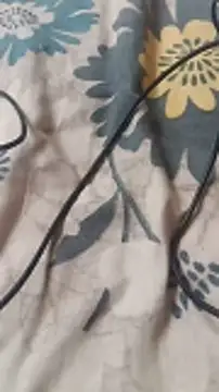 Honey lily-93 online show from July 14, 7:24 am