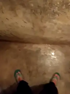 daksh  8 inche online show from January 15, 7:17 pm