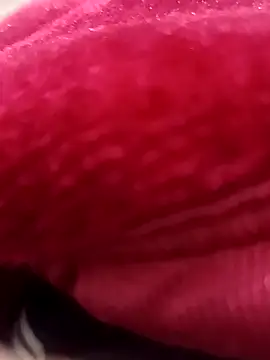 daksh  8 inche online show from February 7, 8:34 pm