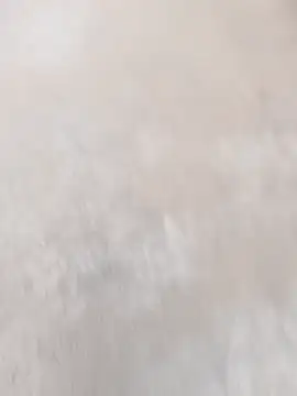 daksh  8 inche online show from April 7, 1:50 am