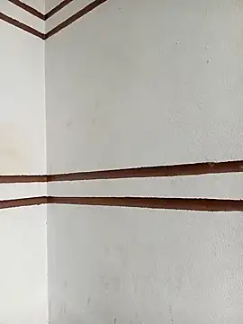 Snapshot of xiaogoal chatting on March 26, 1:33 am xiaogoal online show from March 26, 1:33 am