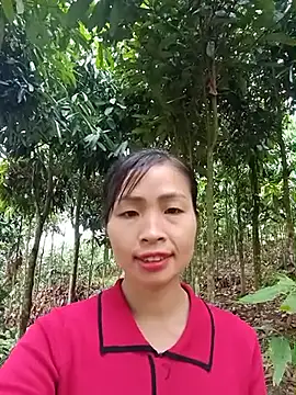xiaogoal online show from June 11, 3:15 am