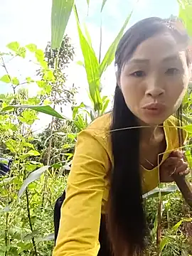 xiaogoal online show from July 5, 1:23 am