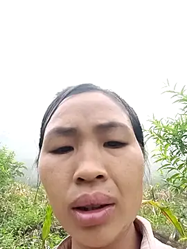 xiaogoal online show from July 22, 2:36 am