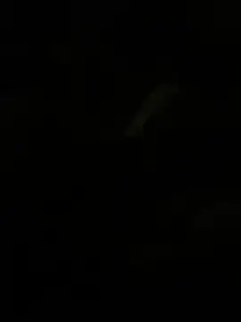 Herr Snusk online show from July 1, 12:12 am