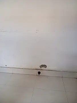 Sarita-school online show from February 6, 4:50 am