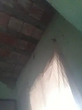 ferreirasantos123 online show from February 8, 11:46 am