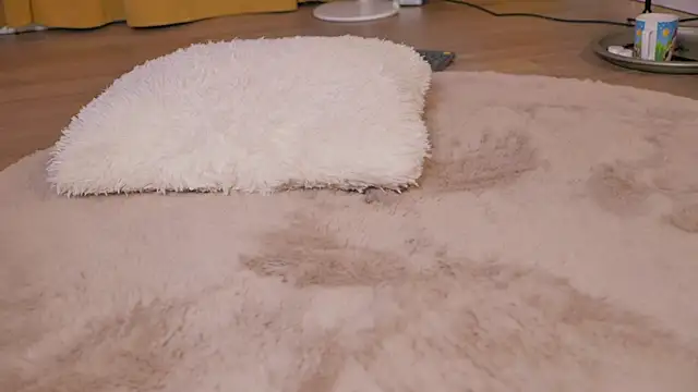 Snapshot of Missy_K chatting on February 6, 8:12 pm Missy K online show from February 6, 8:12 pm