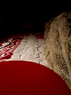 -Bunny-y online show from February 9, 5:06 pm