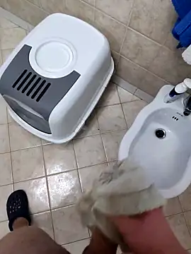 Snapshot of Manu53y chatting on February 8, 4:54 pm Manu53y online show from February 8, 4:54 pm