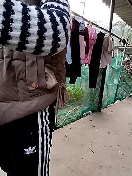 waaini99 online show from January 13, 12:27 am