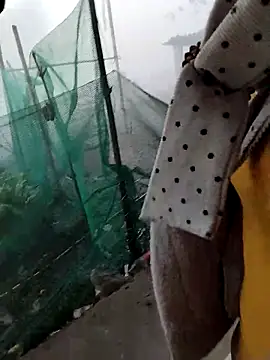 waaini99 online show from February 9, 1:09 am