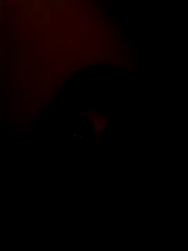 arushi bb online show from January 15, 3:38 pm