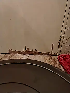 Gorditacarlota online show from February 1, 5:00 pm