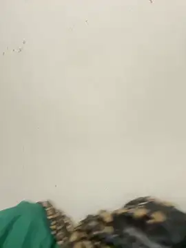 diosa sofia19 online show from April 6, 2:31 am