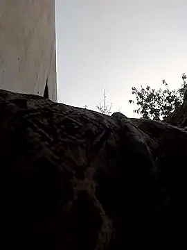 Hot sun28 online show from February 10, 11:58 am