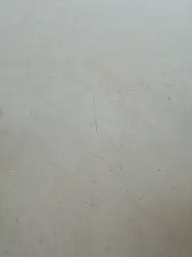 Lyly-68688 online show from July 30, 2:43 am