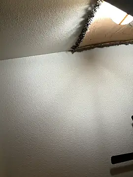 JoeyBlazy online show from January 12, 1:00 am