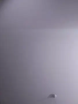 NickoHetero online show from February 10, 10:03 pm