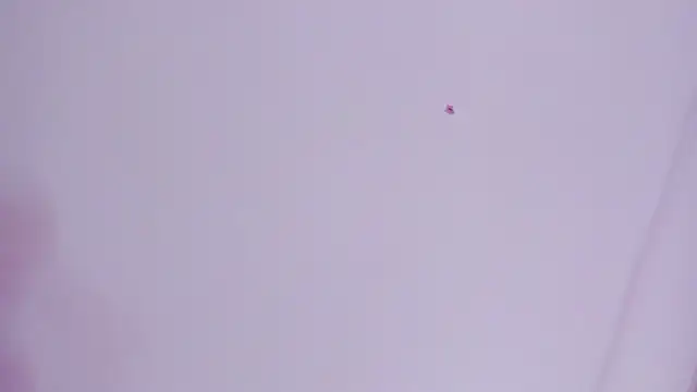 lovely  kiss   online show from March 26, 6:13 pm