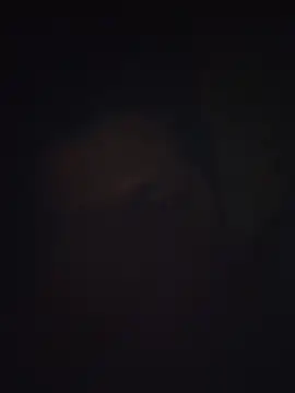 Snapshot of Pravin9562 chatting on March 4, 7:09 pm Pravin9562 online show from March 4, 7:09 pm