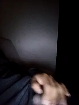 CorrectMusic2 online show from February 11, 9:03 am