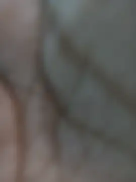 Pooja 67 online show from February 7, 9:02 am