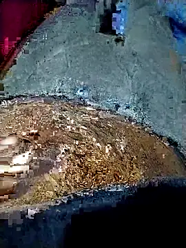 xx couple online show from January 19, 4:11 pm