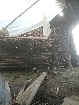 cutebobi online show from February 3, 6:40 am