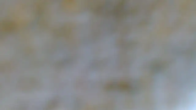 EVAN TAY online show from February 7, 7:17 pm